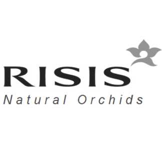 Risis Orchids